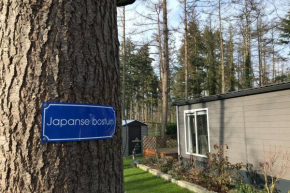 Japanse bostuin met Wifi